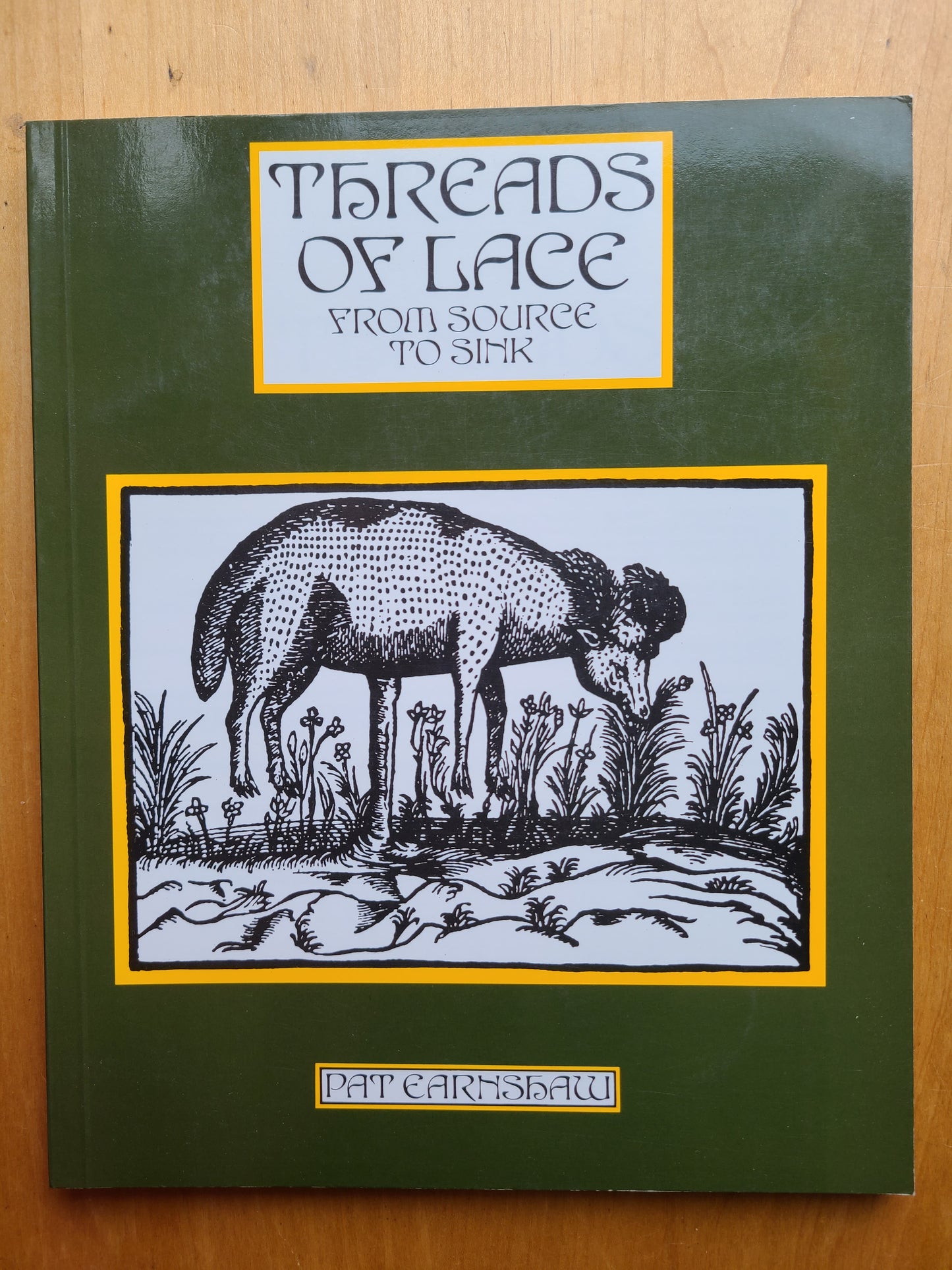 Book - Treads of Lace