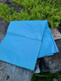 Sky Blue Silk Taffeta - 3 yds