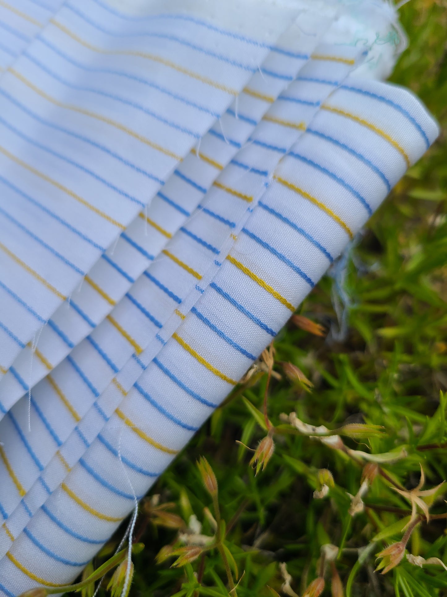 Blue and Yellow Striped Cotton - 4 yards