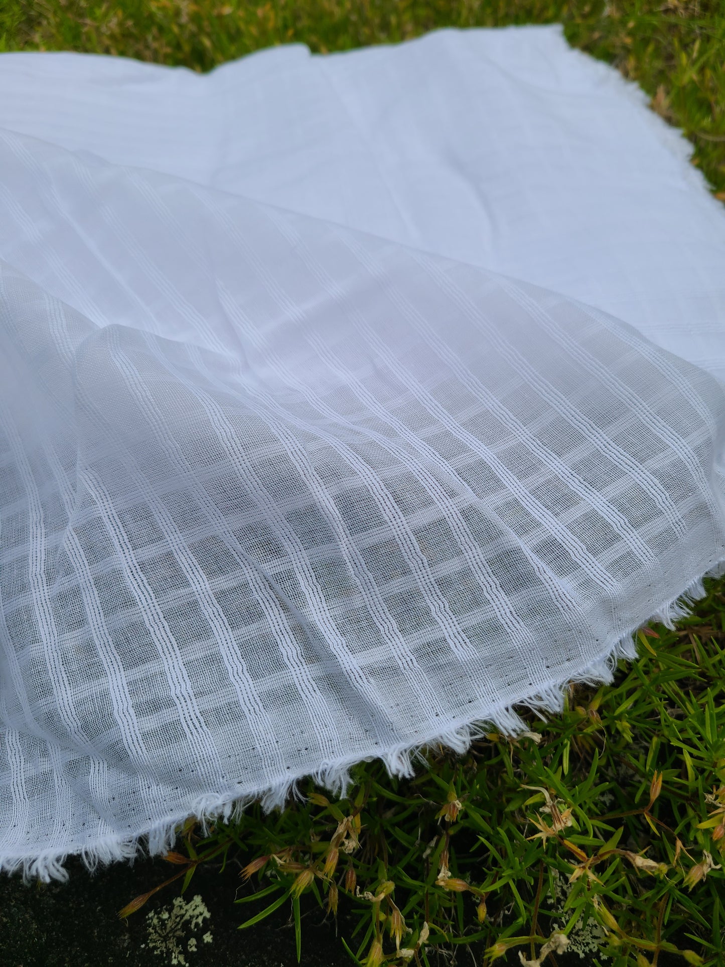 White Cotton Check