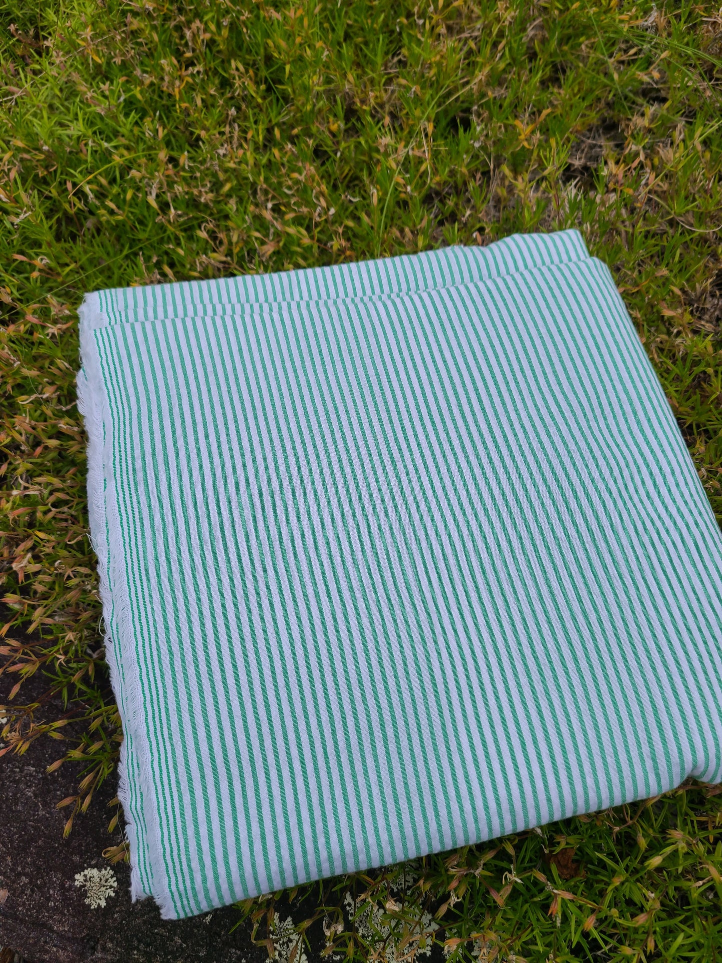 Green Striped Cotton Seersucker - 4 1/2 yards