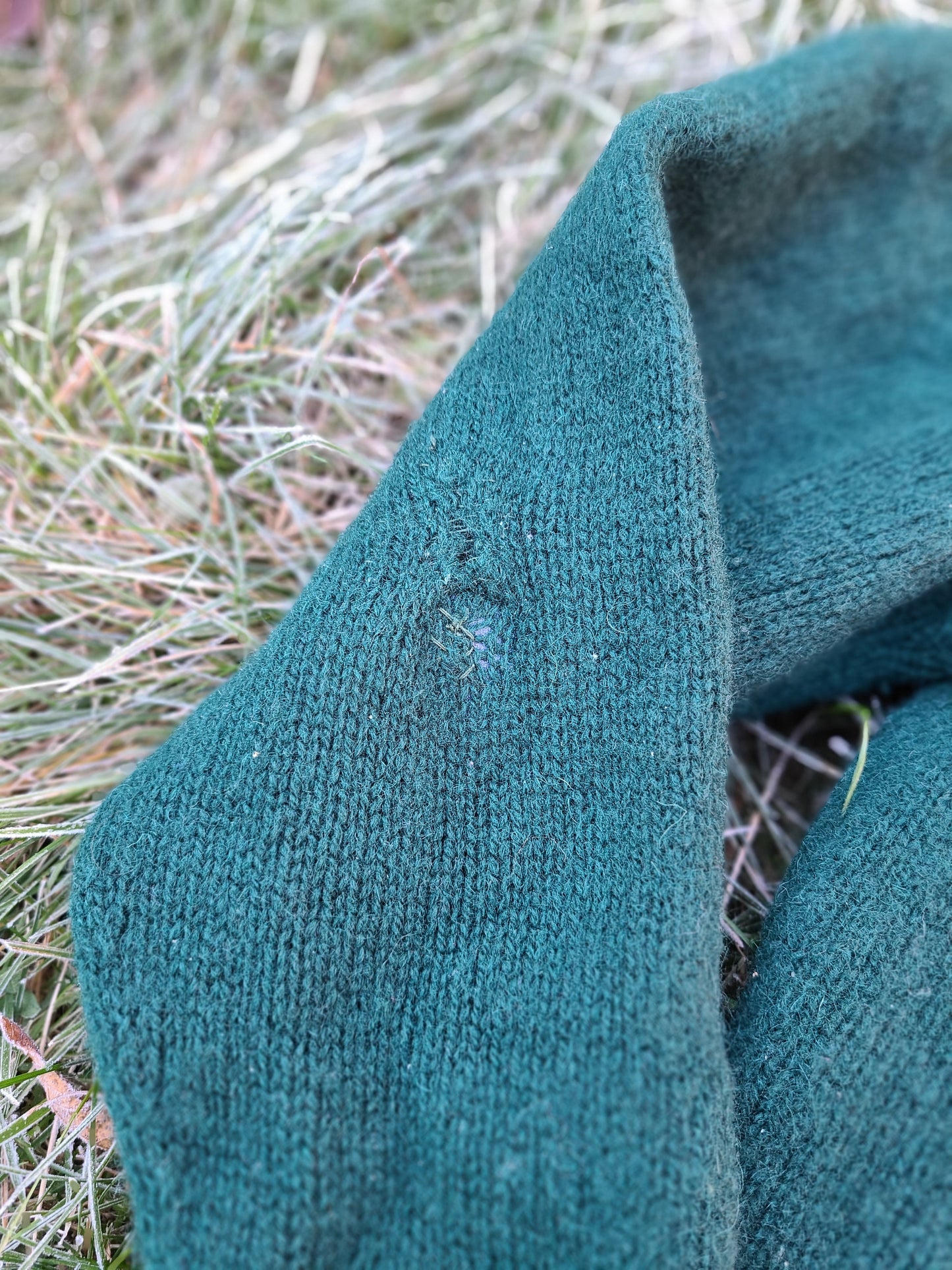 1950s Green Wool Cardigan Sweater